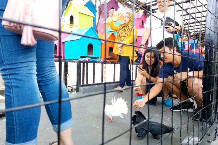 Pengunjung tampak tengah memberi makan di penangkaran burung merpati di Rabbit Town, pilihan tempat wisata Bandung untuk liburan sekolah atau libur akhir tahun.