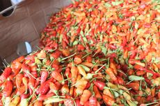 Harga Cabai Rawit Merah Sentuh Rp 40.800 Per Kilogram