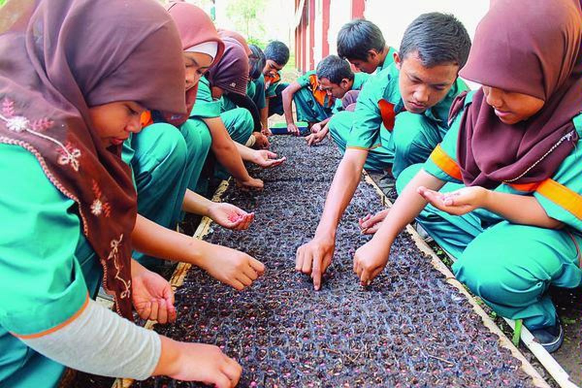 Siswa SMKN 1 Bawen mengembangkan tanaman jagung sebagai produk pertanian unggulan. Siswa  menyiapkan bibit jagung untuk ditanam di lahan sekolah.
