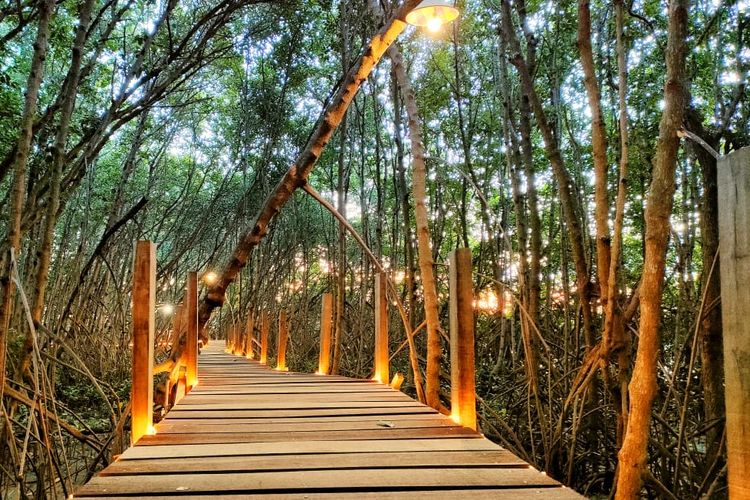 Wisata Mangrove Desa Kedatim Sumenep, salah satu wisata Sumenep yang dapat dikunjungi.