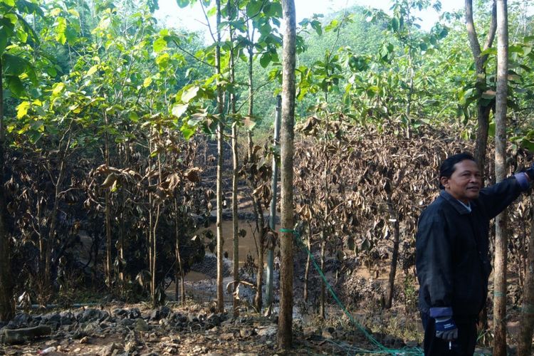 Bekas banjir di Dusun Wediwutah, Ngeposari, Semanu, Gunungkidul, yang sudah mengering.