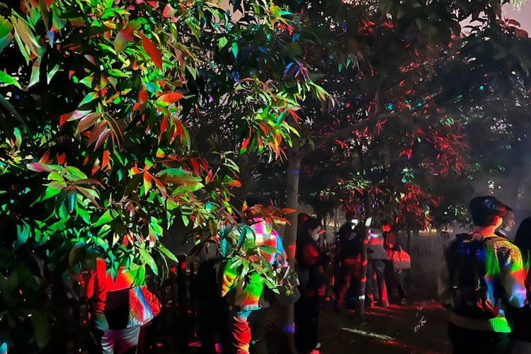 Suasana sinar lampu yang ditembakkan ke pepohonan sebagai media visualnya dalam Media Arts Festival SerendiCity, di kawasan West Kowloon Cultural District, Hong Kong, Kamis (16/2/2023).