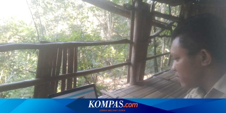 Cerita Guru di NTT, Berjalan 2 Kilometer dan Mendaki Bukit demi Sinyal Telepon dan Internet