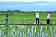 Pemerintah Mulai Sosialisasikan Proyek 1 Juta Hektar Sawah ke Warga Merauke