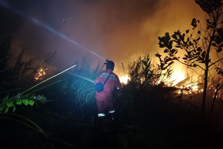Cerita Manggala Agni Padamkan Karhutla di Kalimantan hingga Tengah Malam