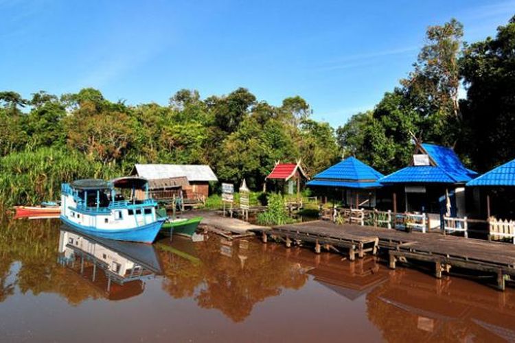 Camp Leakey dikenal sebagai pusat penelitian orangutan di Taman Nasional Tanjung Puting, Kalimantan Tengah.