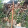 Turap di Setu Tangsel Longsor, Diduga akibat Terkikis Air