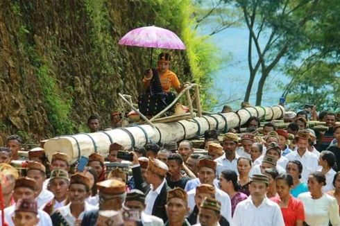 Ritual Roko Molas Poco di NTT, Boyong Gadis Cantik di Atas Balok Kayu Saat Bangun Rumat Adat