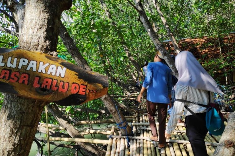 Wisata Hutan Mangrove Donggala, Sulawesi Tengah.