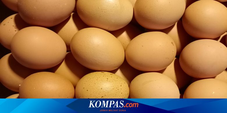 Berapa Lama Telur Segar Bisa Disimpan