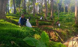 Kemhut Revisi Aturan, Peran Kesatuan Pengelolaan Hutan Bakal Diperkuat