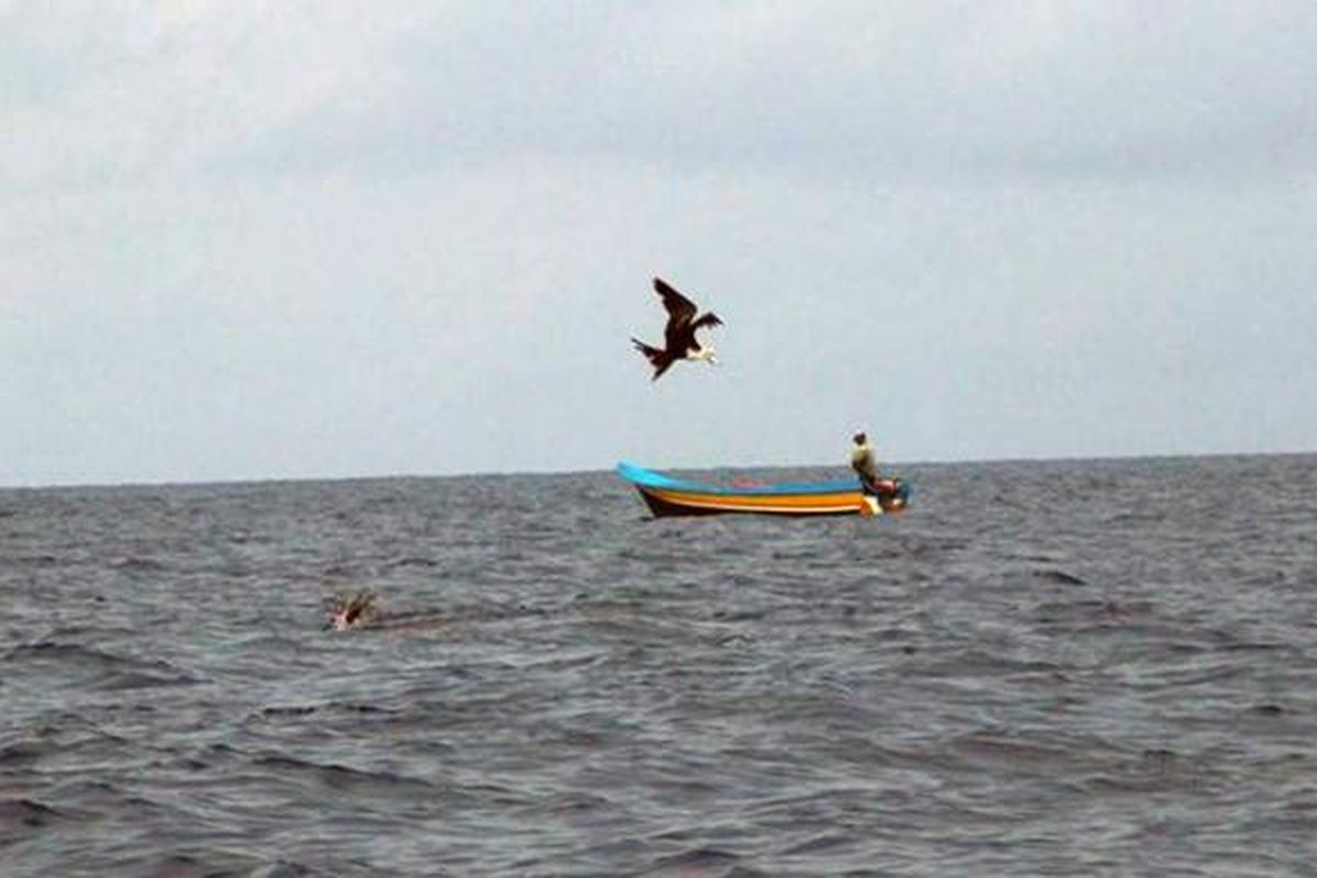 Nelayan tradisional memancing ikan di Laut Seram, sekitar  22 mil laut (40,74 kilometer) dari Kawa, Kecamatan Seram Barat, Kabupaten Seram Bagian Barat, Maluku, pada Sabtu (14/1/2017). Praktik penangkapan ikan ilegal di perairan itu masih ada.