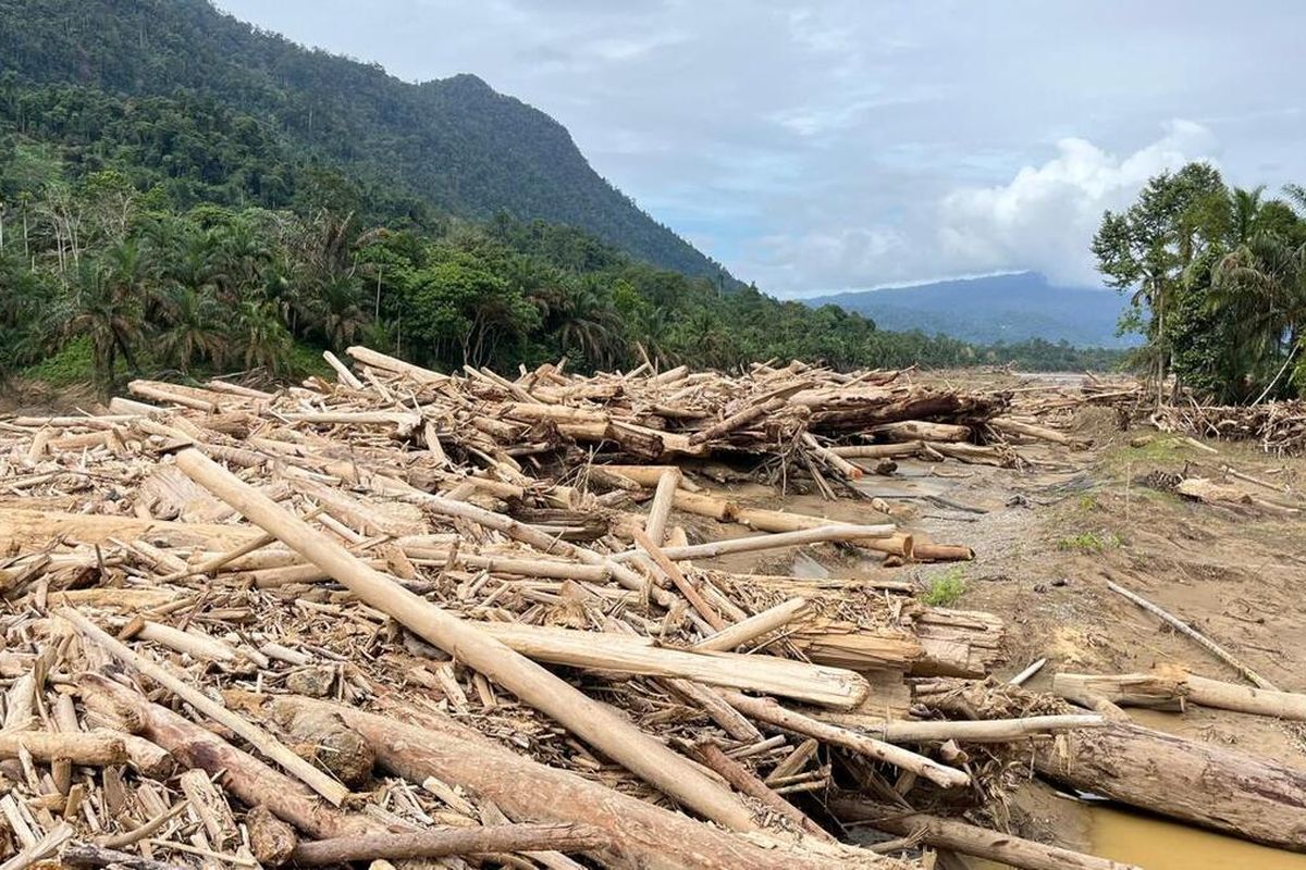 Tumpukan kayu terbawa arus banjir di Desa Sekumur , Kecamatan Sekrak, Kabupaten Aceh Tamiang, Provinsi Aceh,Sabtu (20/12/2025)