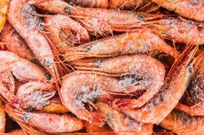 Udang Indonesia Kena Bea Masuk Antidumping oleh AS, Ini yang Dilakukan Pemerintah