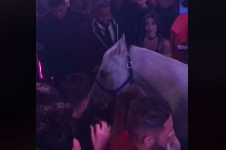 Kuda putih itu muncul dengan penunggangnya di depan pengunjung klub malam di Miami, Florida, Amerika Serikat. (Leeza Marie Juelle via BBC)