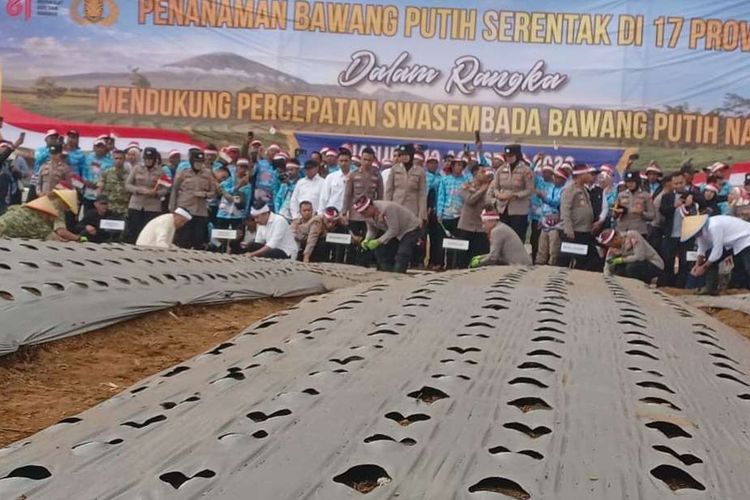 Produksi Bawang Putih RI Baru 40.000 Ton, Polri Kejar Swasembada 2029