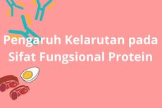 Pengaruh Kelarutan pada Sifat Fungsional Protein