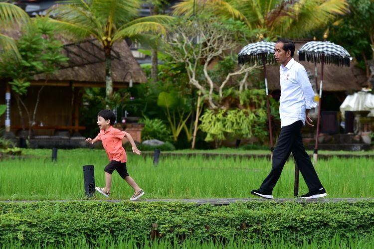 Presiden Joko Widodo saat sedang bermain di tepi sawah dengan sang cucu Jan Ethes Srinarendra di kawasan Ubud, Bali, Jumat (14/6/2019).