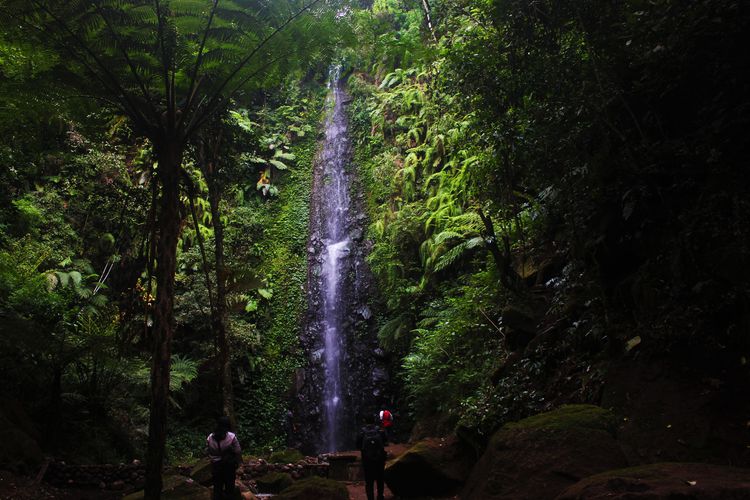 Sejuknya Air Terjun Sarang Sari Airnya Bisa Diminum Dan Berkhasiat Halaman All Kompas Com