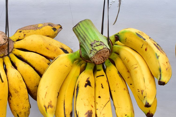 ilustrasi pisang raja. 