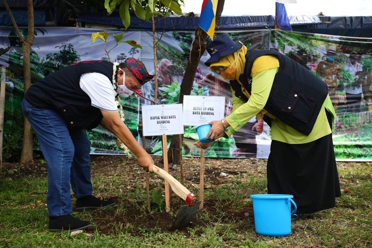 Wali Kota Bandung Oded M Danial bersama istri melakukan penanaman pohon dalam kegiatan Bandung Menanam. Pada kegiatan jilid II ini ditaman 21.600 pohon berbagai jenis.
