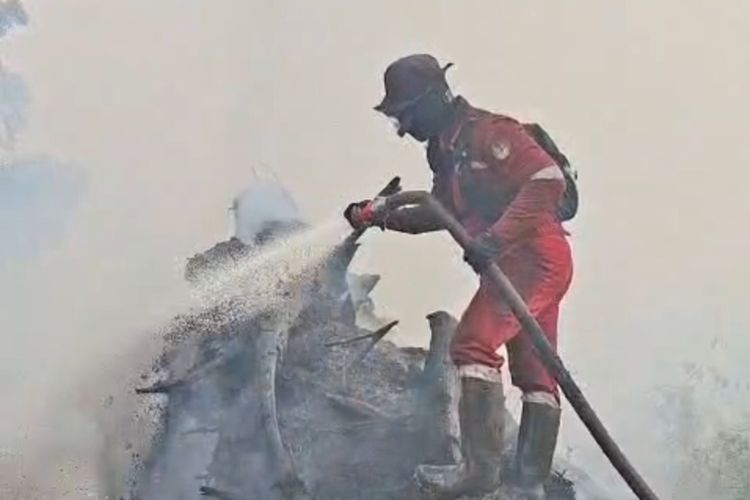 Padamkan Karhutla Dekat Habitat Harimau Sumatera, Petugas di Inhu Ekstra Waspada