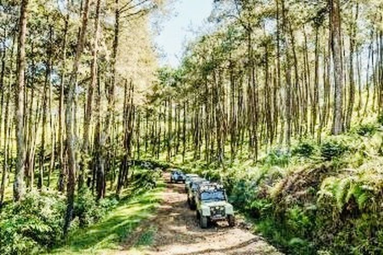 Dengan menyewa mobil Land Rover, kamu akan diajak menyusuri hutan lebat dengan jalur ekstrem dan kubangan air