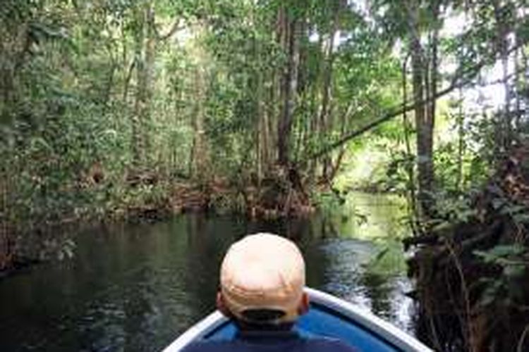 Taman Nasional Sebangau, Kalimantan Tengah menjadi 