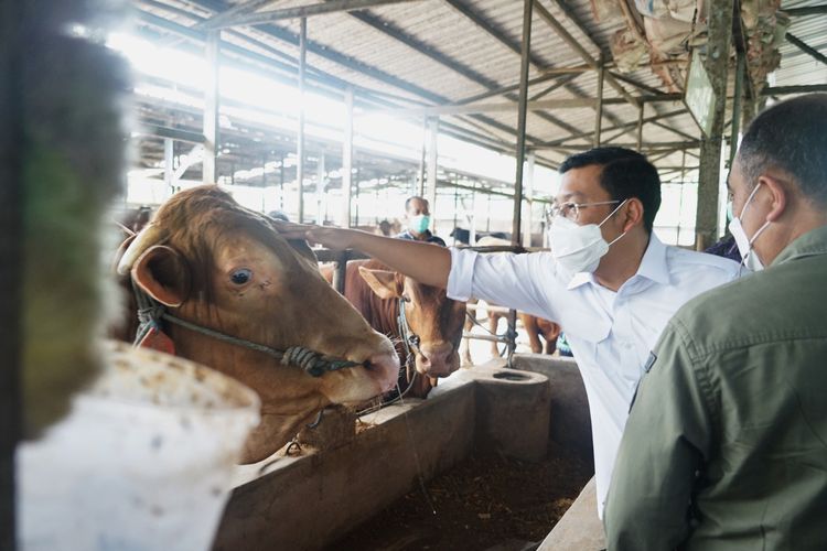 Jelang Idul Adha, Bapanas Pastikan Stabilitas Pasokan dan Harga Pangan Terjaga