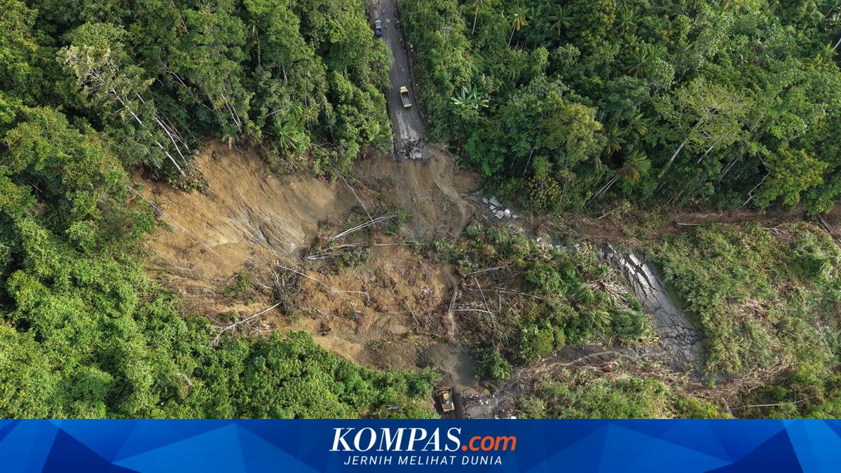 Longsor di Jalan Trans Papua: BBPJN Papua Sigap Tangani dan Buka Jalur Alternatif