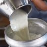 Bedanya Susu Kambing dan Susu Sapi, Mana Lebih Unggul?