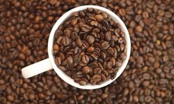 Ciri-Ciri Kopi Arabika vs Robusta, Apa Perbedaannya?&nbsp;