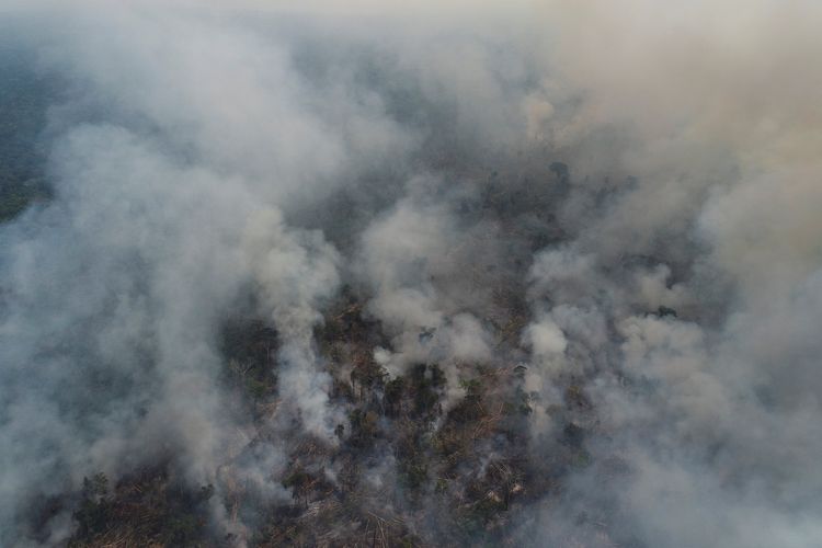 Asap mengepul dari api di daerah hutan Amazon yang terbakar saat lahan dibuka oleh penebang dan petani di dekat Apui, Negara Bagian Amazon, Brazil 12 Agustus 2020. Foto diambil dengan drone.