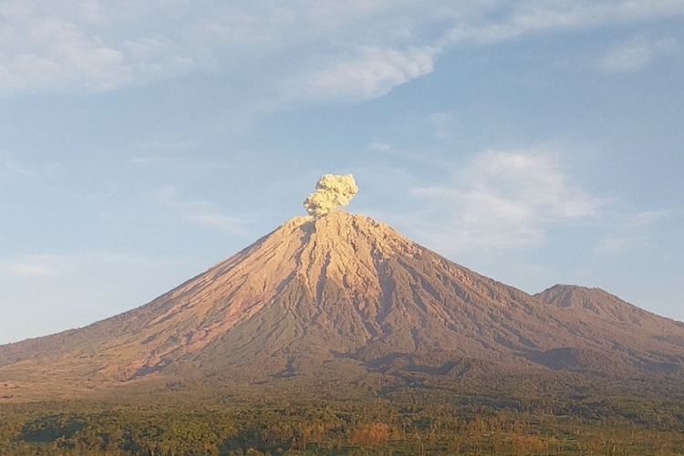 Gunung Semeru Meletus 4 Kali Minggu Pagi, Semburkan Kolom Abu 800 Meter