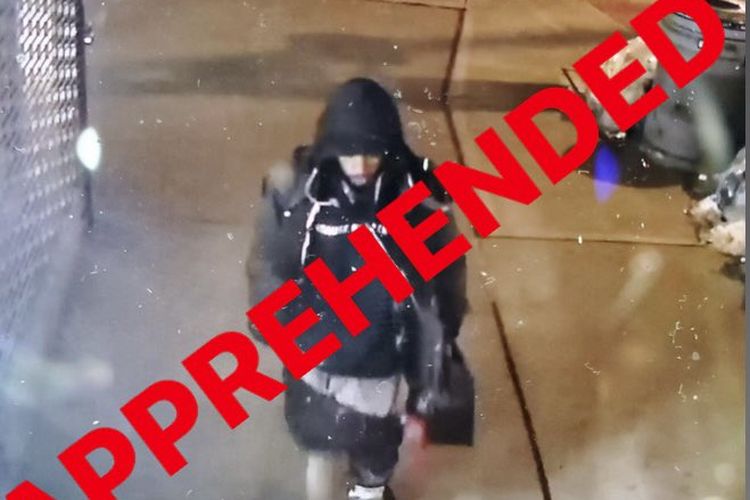 “A Train Ripper” Ditangkap Masih Berlumuran Darah Korban Setelah Tusuk 4 Orang di Subway AS