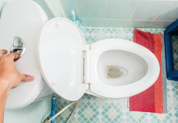 Toilet Duduk Punya 2 Tombol Flush, Ternyata Fungsinya Banyak