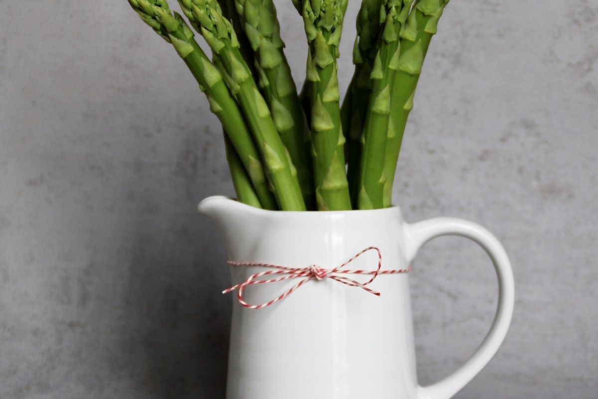 Ilustrasi asparagus. 