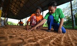 Tingkatkan Perekonomian Petani Kelapa, Antam Berikan Pendampingan Pengolahan Serabut Kelapa Jadi Produk Bernilai Jual
