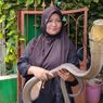 Cerita Nenek Iin yang Koleksi 75 Ular: Waktu Ada yang Mati, Tak Doyan Makan Berhari-hari