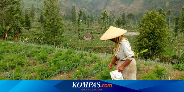 Http //Lamaran.ewindo.com - Pt Ewindo Detail News / Todo ...