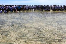 Ingin Tangkap Ikan Bersama Ribuan Orang di Pulau Terluar? Catat Tanggalnya...