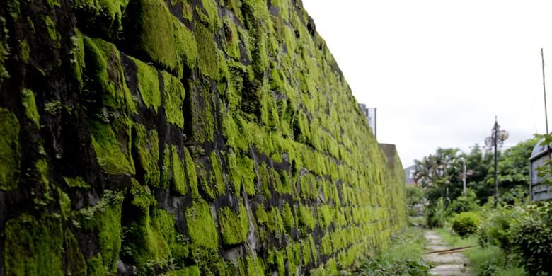 Lumut-lumut tumbuh di tembok Benteng Fort Rotterdam, Kota Makassar, Sulawesi Selatan, Rabu (11/2/2015). Benteng Ujung Pandang, begitulah nama benteng ketika masih dijadikan sebagai markas pasukan Kerajaan Gowa. 