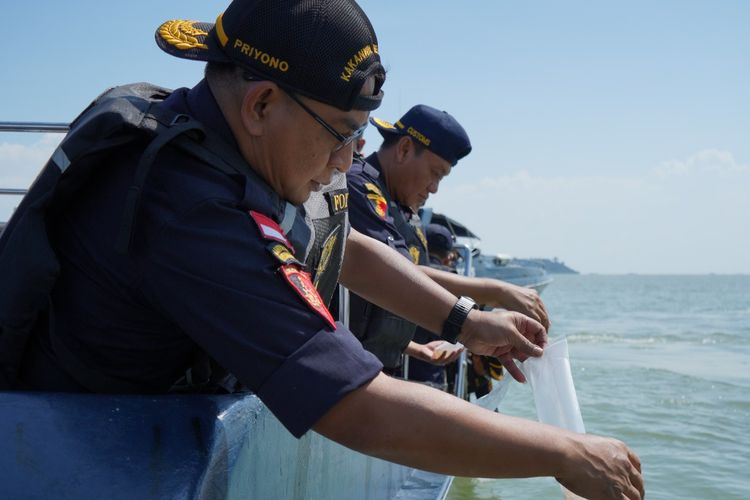 Bea cukai melepas liarkan benih lobster hasil penindakan.