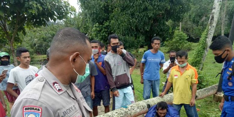 Seroang tukang ojek di Desa Suli, Kecamatan Salahutu, Kabupaten Maluku Tengah tewas di rumah sakit setelah tertimpa pohon kelapa yang tumbang di desa tersebut, Jumat (19/6/2020)