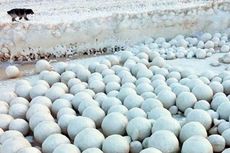Fenomena Langka, Bola-bola Salju Raksasa Tutupi Teluk Ob di Siberia
