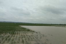 Pemerintah Targetkan Semua Lahan Pertanian di Bantaeng Masuk AUTP, Begini Caranya