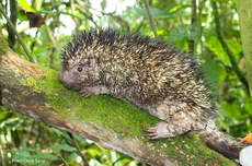 25 November 2025 Memperingati Hari Apa? Ada Hari Guru dan Lainnya