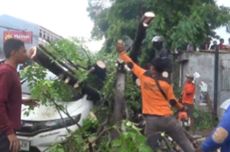 Hujan Deras di Makassar, Pohon Tumbang Timpa 2 Mobil di Warung Makan