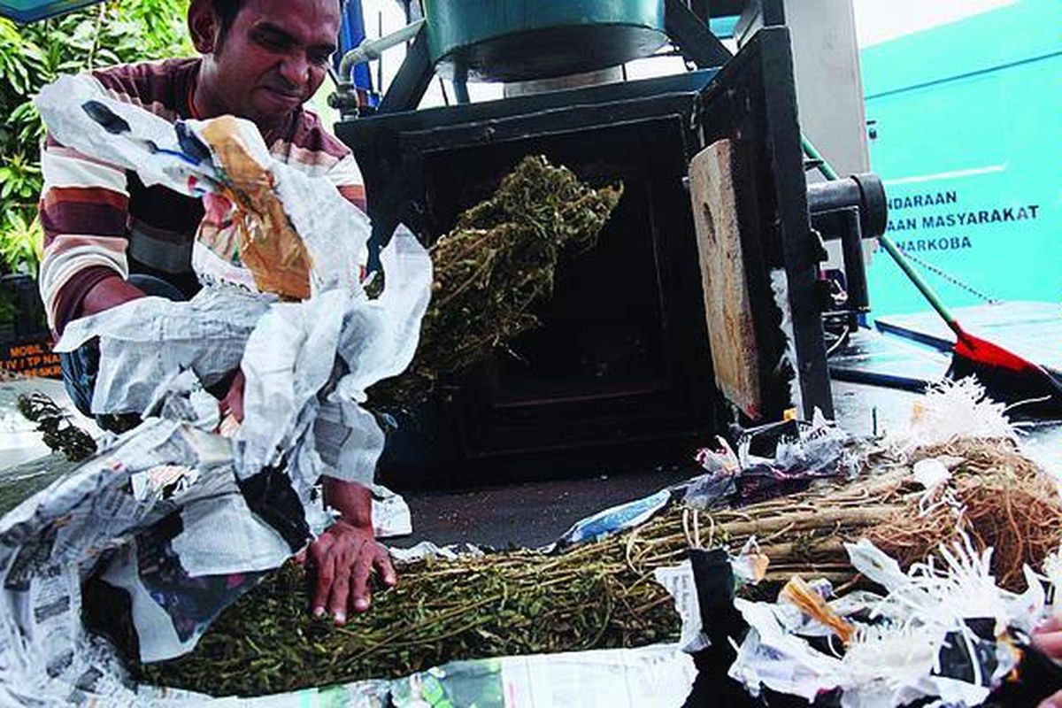 Petugas Badan Narkotika Nasional bersiap membakar ganja  dalam pemusnahan barang tersebut di kantor BNN, Jakarta Timur, Kamis (1/3). Selain ganja dan heroin, BNN juga menyita enam senjata api jenis locot. Ganja itu disita dari operasi pemutusan peredaran narkotika di Mandailing Natal, Sumatera Utara.
