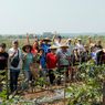 FDKJ Perkuat Ketahanan Pangan lewat Pemberdayaan UMKM Hortikultura di Jonggol